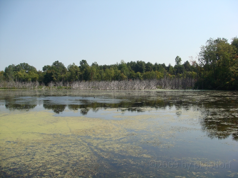 Western Michigan [2009] 371.JPG - Scenes from Frederik Meijer Gardens & Sculpture Park.